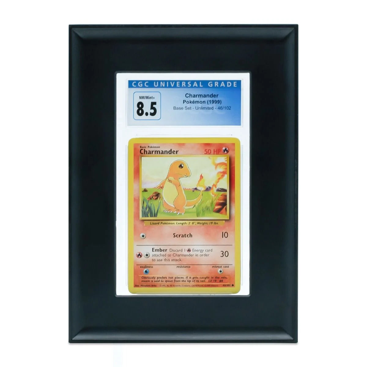 Black BCW interlocking graded card frame displaying a protected trading card in a secure, sturdy display holder.
