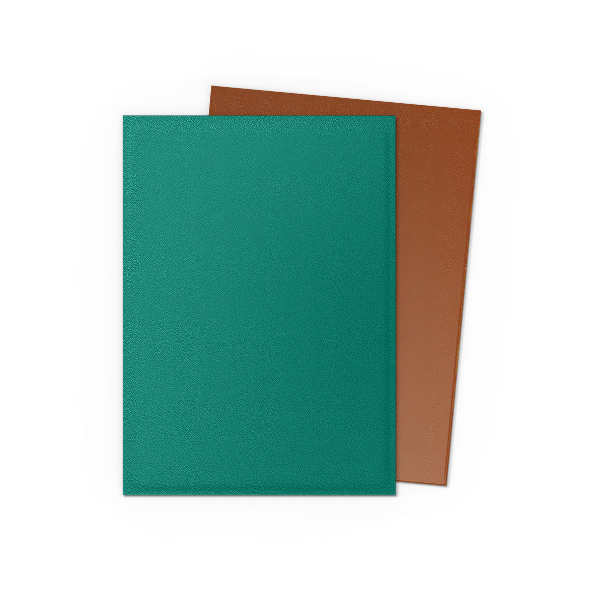 Dragon Shield: Power and Copper Dual Matte Standard Sleeves
