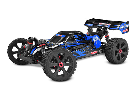 Team Corally - Asuga XLR RTR Racing Buggy